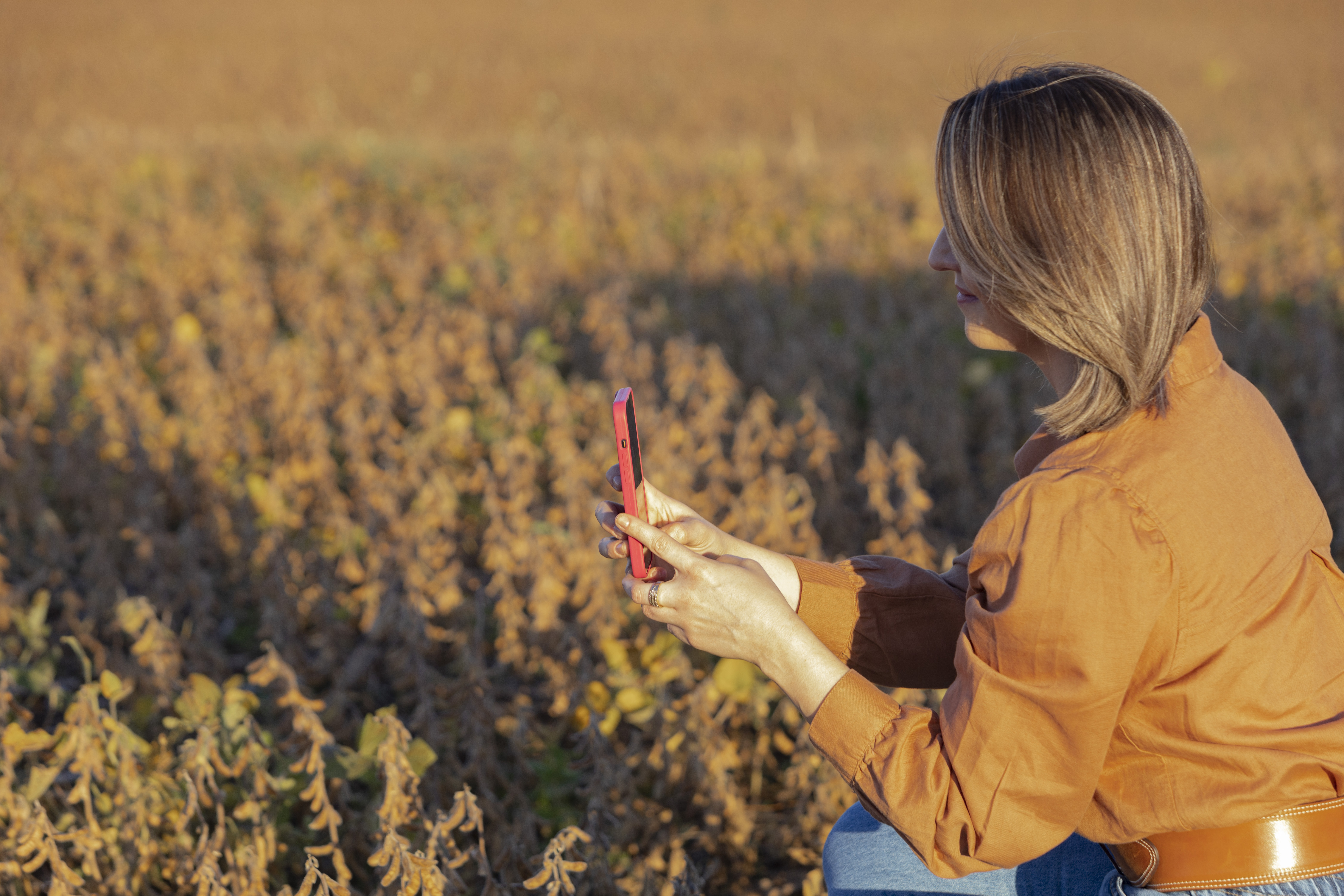 Como a Holding Rural pode proteger seu patrimônio familiar