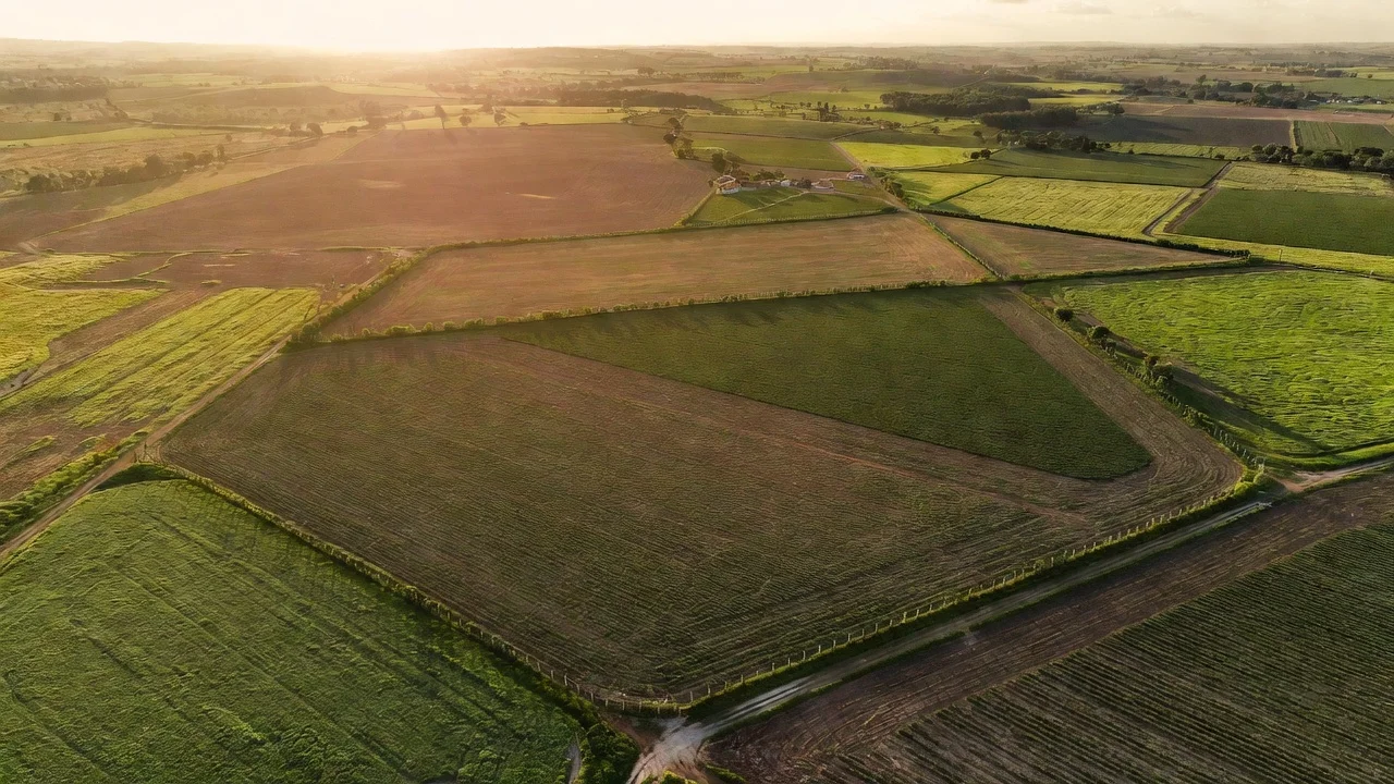 Regularização Fundiária e Imobiliária Rural